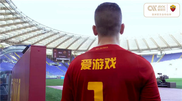 数仅为